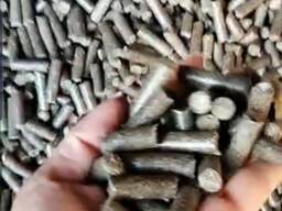 Шрот подсолнечника гранулированный