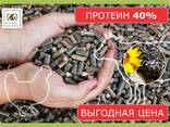 Шрот подсолнечный (доля протеина min 40%) - фото 1