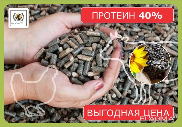Шрот подсолнечный (доля протеина min 40%)