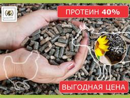 Шрот подсолнечный (доля протеина min 40%)