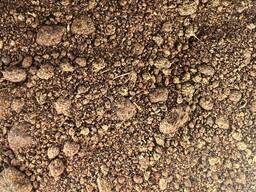 Шрот рапсовый