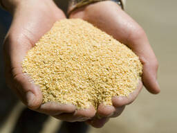 ШРОТ СОЕВЫЙ