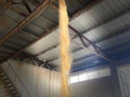 Шрот соевый