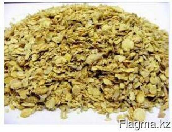 Шрот Соевый Тостированный ГОСТ Протейн 47%-49. Урожай 2022.