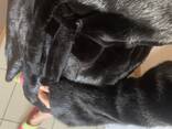 Шуба норковая - фото 3