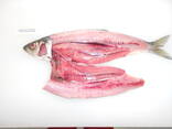 Скумбрия - фото 2