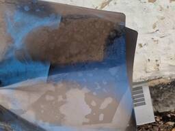 Скупка рентгеновских снимков