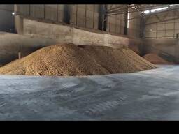 Соевое масло