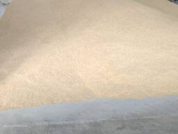 Соевый Шрот экспорт 47% протеин