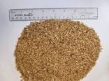 Соевый шрот и масло соевое - фото 3