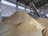 Соевый шрот жмых - фото 3