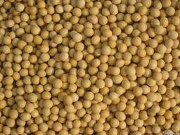 Соевые бобы