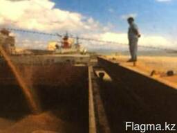 Соевые бобы