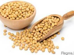 Соевые бобы