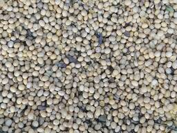 Сою (Соевые бобы)