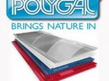 Ұялы поликарбонат Polygal (Израиль) 10 мм - фото 2