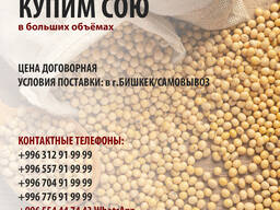 Соя