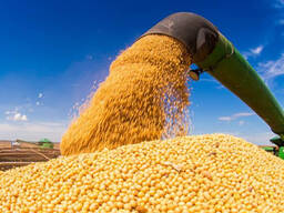 Soybeans from Brazil