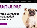 Создание сайтов, создать сайт, разработка сайтов, доработка сайта - photo 5