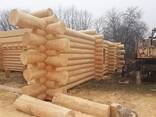 Сруб дома, бани из рубленного бревна - photo 3