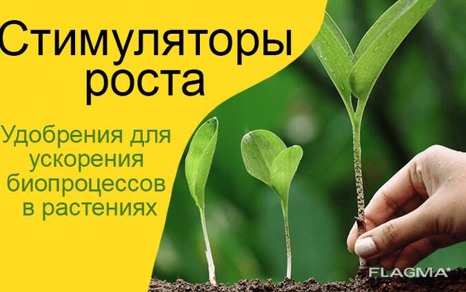 Солнечная батарея - энергия из кладовых Солнца