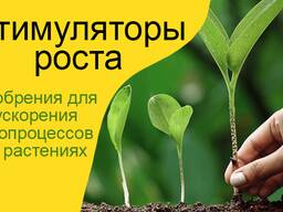 Стимулятор роста растений, антистресс