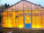 Строительство и продажа теплиц из сотового поликарбоната - фото 1