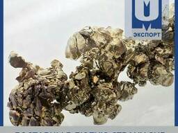 Стронций малонат (малоновокислый)