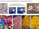 Сублимированные фрукты, ягода, йогурт ОПТ СНГ - фото 1
