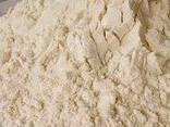 Сухое молоко для производства - фото 1