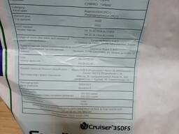 Sumiko, европейские семечки семянные