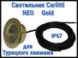 Светильник для турецкого хаммама Cariitti Neo (Золото, линза прозрачная, IP67) - фото 1