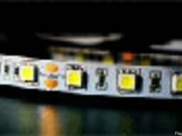 Светодиодная гибкая лента SMD-5050 в  Лента в Алматы