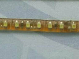 Светодиодная лента SMD 5050,13 Вт, Невлагозащищенная, красный, зеленый, голубой