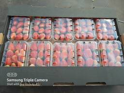 Свежая клубника