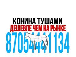 Свежая конина — по цене ниже рынка!