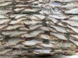 Свежая, мороженая, вяленая рыба - photo 3