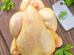 Свежее мясо домашних кур