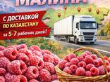 Свежезамороженная малина - фото 1