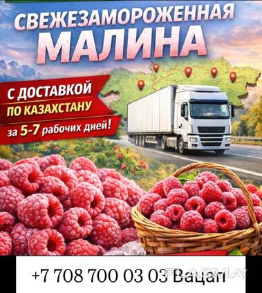 Свежезамороженная малина