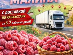 Свежезамороженная малина