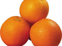 Свіжі фрукти для продажу