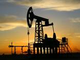 Такси Актау по нефтяные и газовые месторождения (Перевахтовка работников) - фото 7