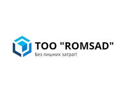 Таможенное оформление грузов по РК