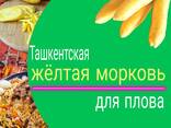 Ташкентская жёлтая морковь для плова в г. Астана - фото 2