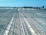 Тепличные комплексы "под ключ" последнего поколения - photo 2