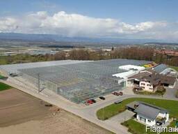 Теплицы, промышленные теплицы, проектирование, строительство