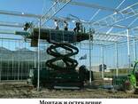 Теплицы, промышленные теплицы, проектирование, строительство - фото 1