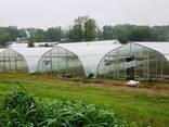 Теплицы всех размеров из поликарбоната или пленки - фото 2