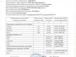 ТОО «Океан 2007» продает семечки тыквы - фото 2
